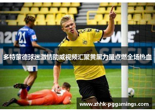 多特蒙德球迷激情助威视频汇聚黄黑力量点燃全场热血 多特蒙德球迷激情助威视频汇聚黄黑力量点燃全场热血