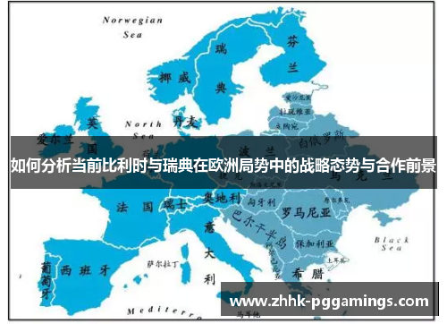 如何分析当前比利时与瑞典在欧洲局势中的战略态势与合作前景