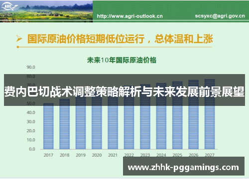费内巴切战术调整策略解析与未来发展前景展望