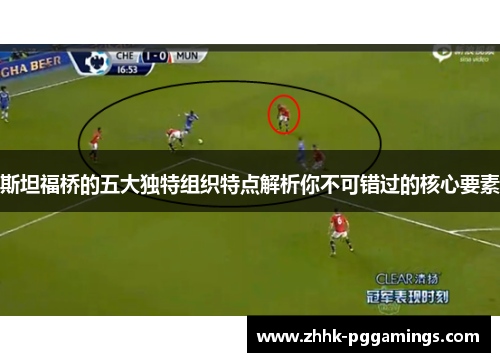 斯坦福桥的五大独特组织特点解析你不可错过的核心要素